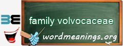 WordMeaning blackboard for family volvocaceae